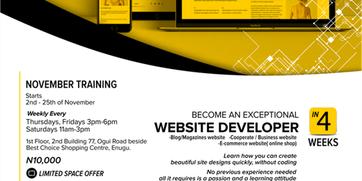 Become A Professional Website Developer