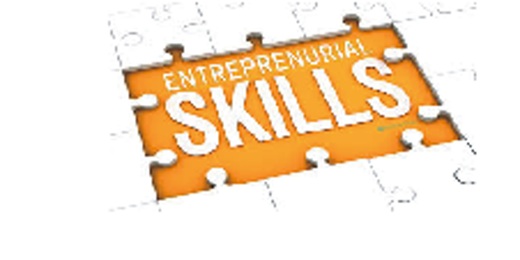 Entrepreneurial Skills Development Program