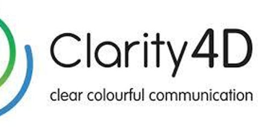 Clarity 4D Colours at Work Team and Leadership Workshop