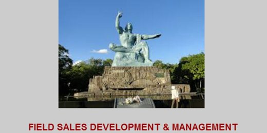Beyond the Sales Targets: Field Sales Development And Management sessions