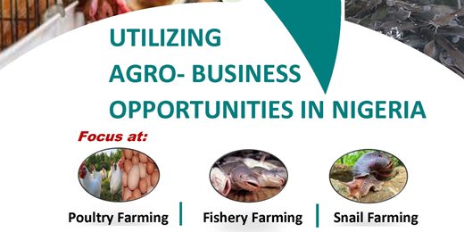 AGRO - BUSINESS OPPORTUNITIES IN NIGERIA