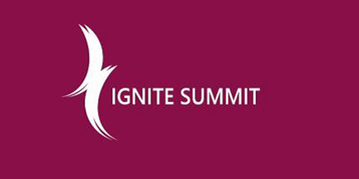 Business: Ignite summit in Sapele
