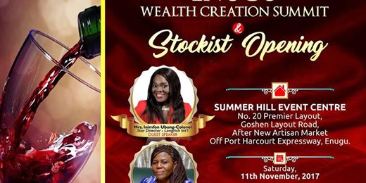 Enugu Wealth Creation Summit