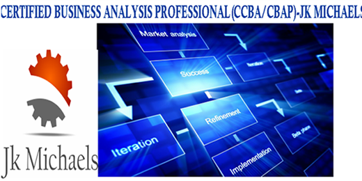 Certified Business Analysis Professional (CBAP)