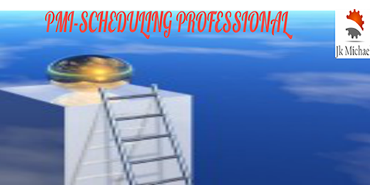 PMI Scheduling Professional