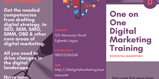 Advance Digital Marketing Training (One on One)