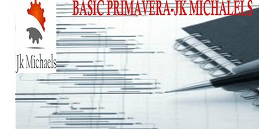 Basic primavera P6 Course