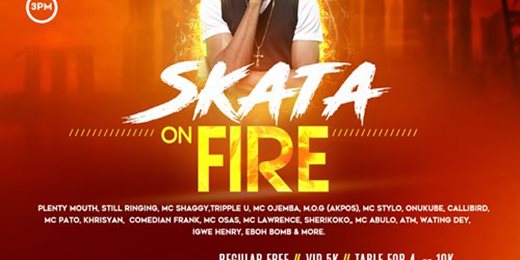 SKATA ON FIRE