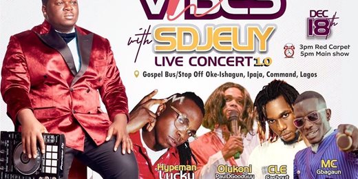 SDJELIY concert